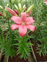 [4043 Opportunity No01.JPG]